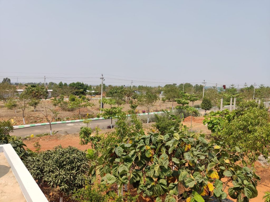 100 Acre – Integrated – Self Sufficient Community Township – Delhi Public School